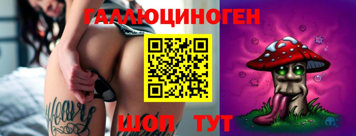 Псилоцибиновые грибы MAGIC MUSHROOMS  Вход с VPN  Карабулак  Псилоцибиновые грибы Psilocybine cubensis 